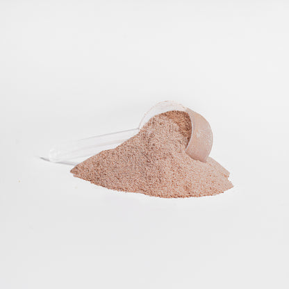Virile Valour Grass-Fed Collagen Peptides Powder Chocolate ForMen Powder on a light gray background