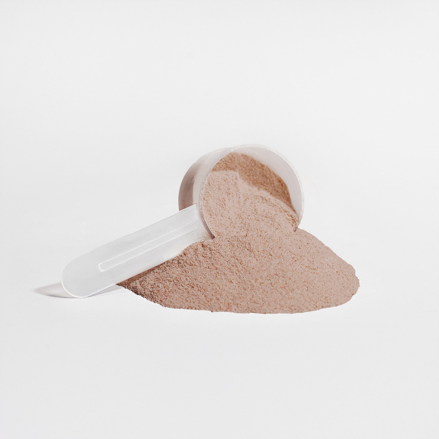 Virile Valour Plant Protein Chocolate For Men powder in a white scoop on a light gray background