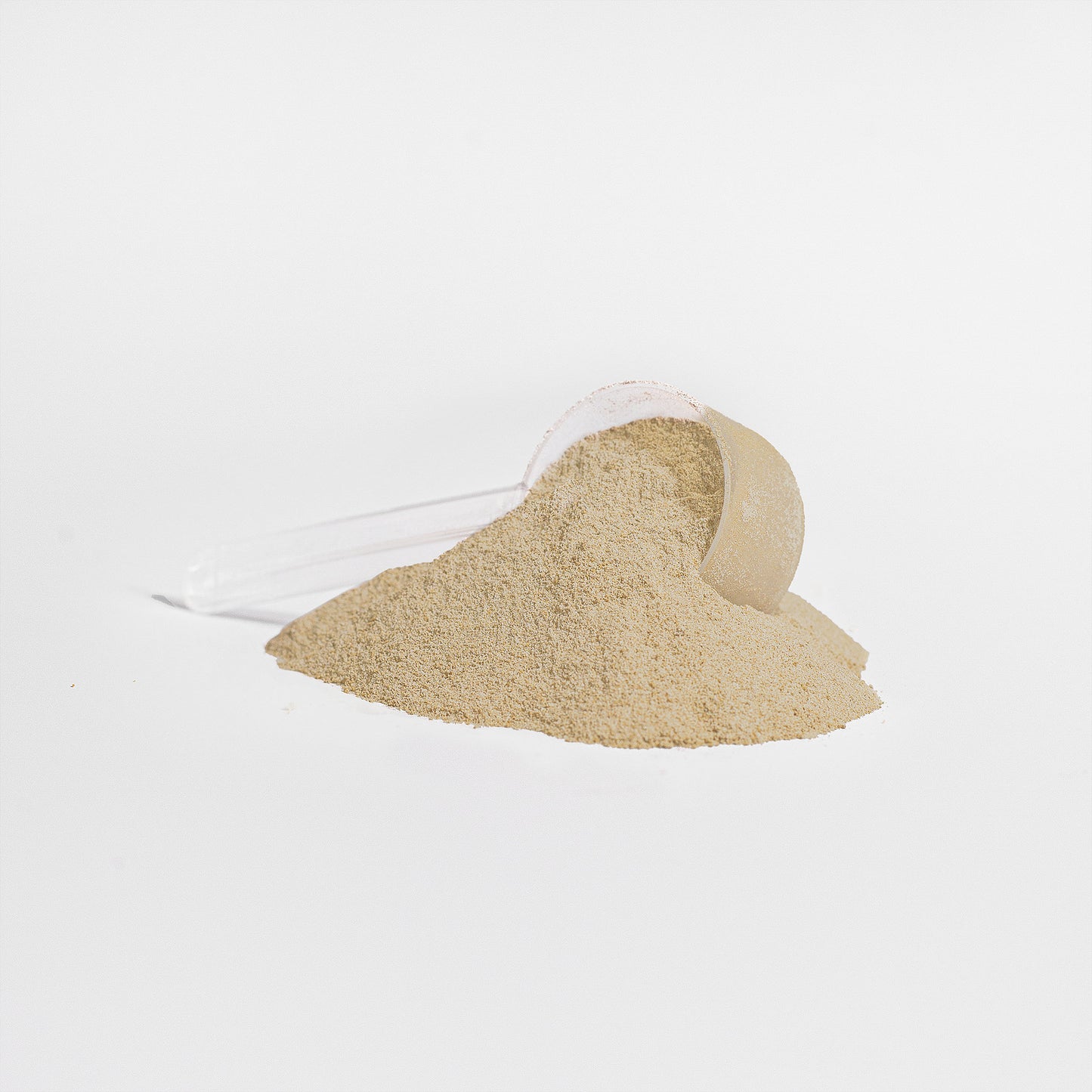 Virile Valour Plant Protein Vanilla For Men Powder on a white background